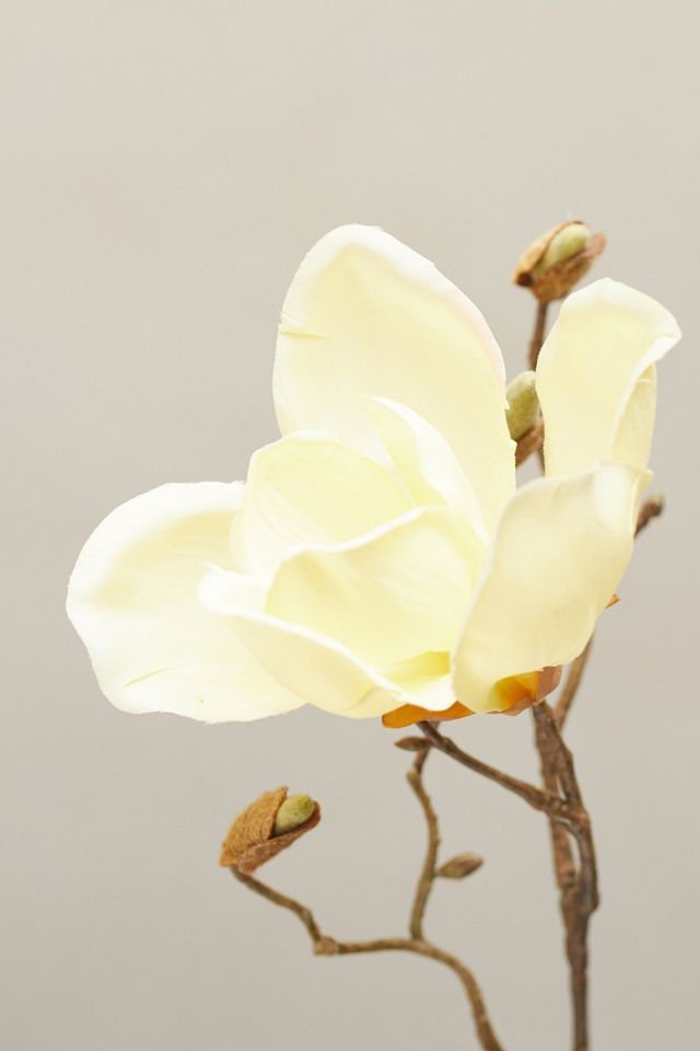 Faux Magnolia Blossom Spray #1