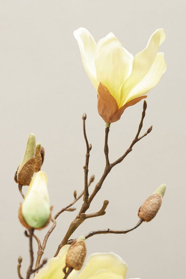 Faux Magnolia Blossom Spray #2