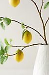 Faux Lemon Tree Branch #2