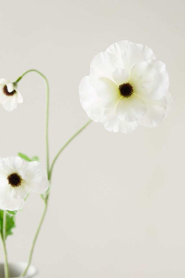 Faux Ranunculus Spray #2
