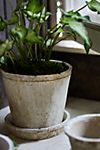 Earth Fired Clay Pot + Saucer, Set of 3 #1