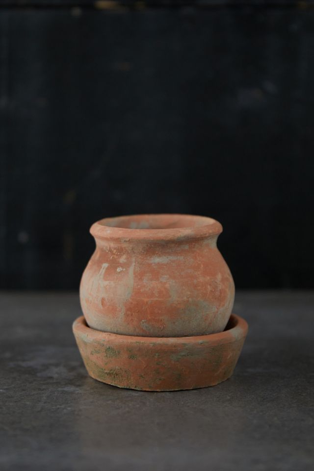 Earth Fired Clay Natural Curve Pots + Saucers, Set of 3 Sizes #4