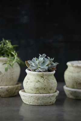 Earth Fired Clay White Curve Pots + Saucers, 3 Sizes Set