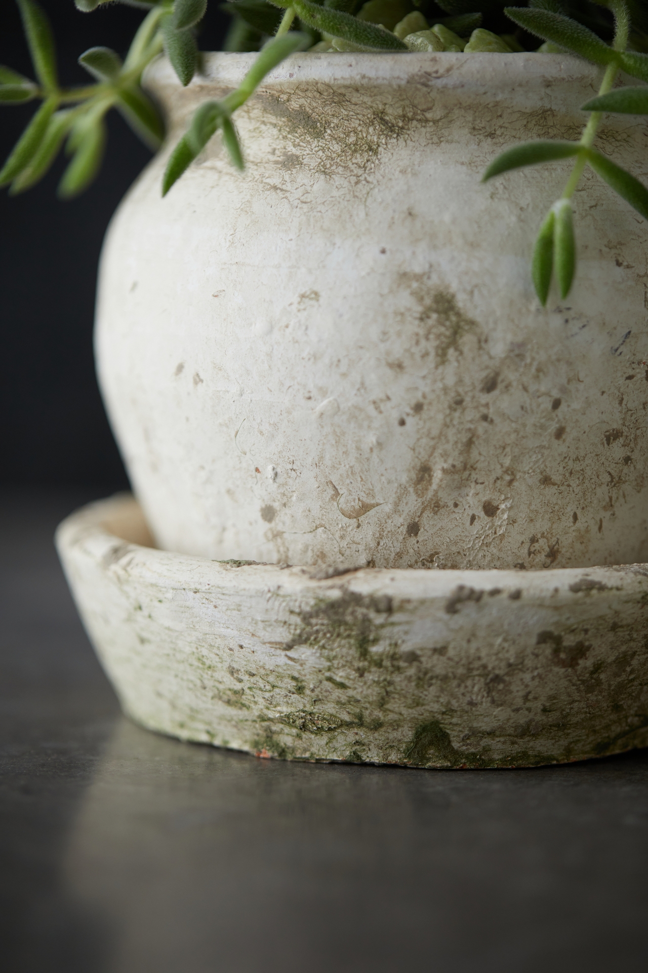 Earth Fired Clay White Curve Pots + Saucers