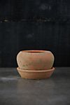 Earth Fired Clay Natural Curve Pots + Saucers, 2 Sizes Set