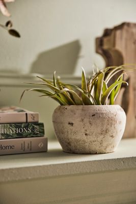 Earth Fired Clay White Curve Pots + Saucers, 2 Sizes Set