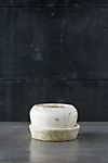 Earth Fired Clay White Curve Pots + Saucers, 2 Sizes Set #2