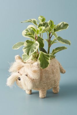 Westie Planter