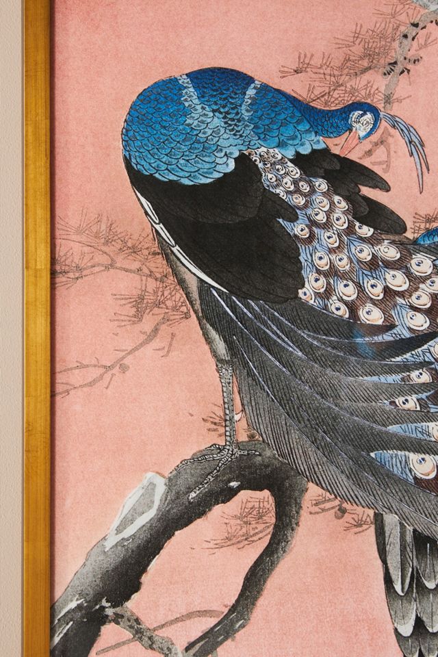 Peacocks Wall Art #2