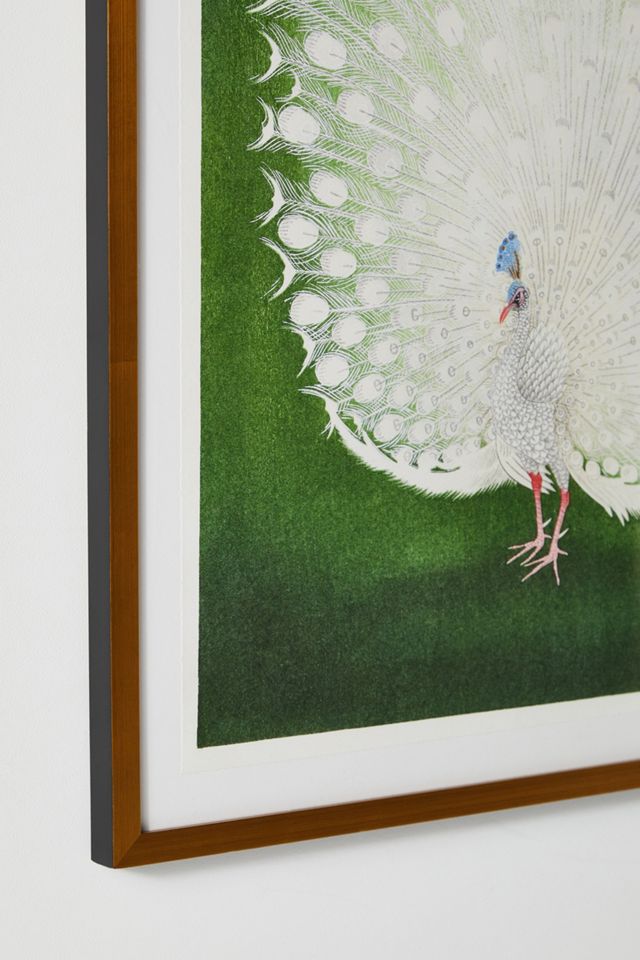White Peacock Bird Wall Art #2