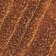 NEUTRAL MOTIF