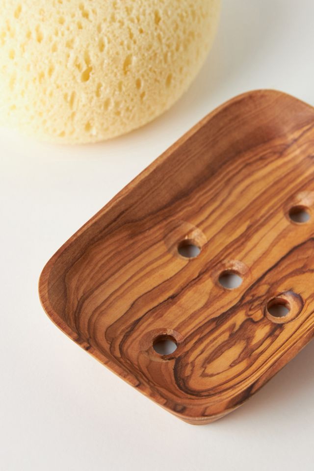 Sponge and Dish Set #1