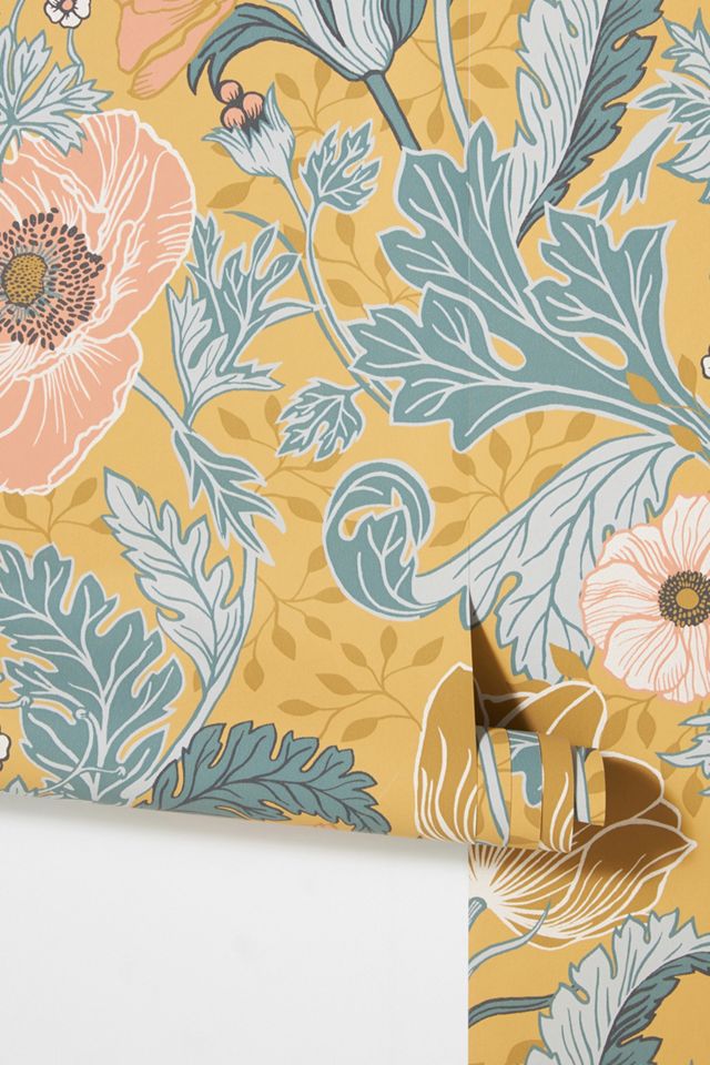 Anemone Wallpaper #1