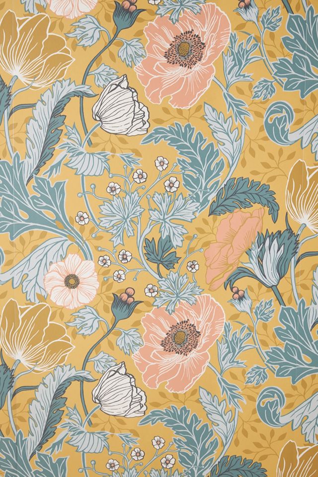 Anemone Wallpaper #2