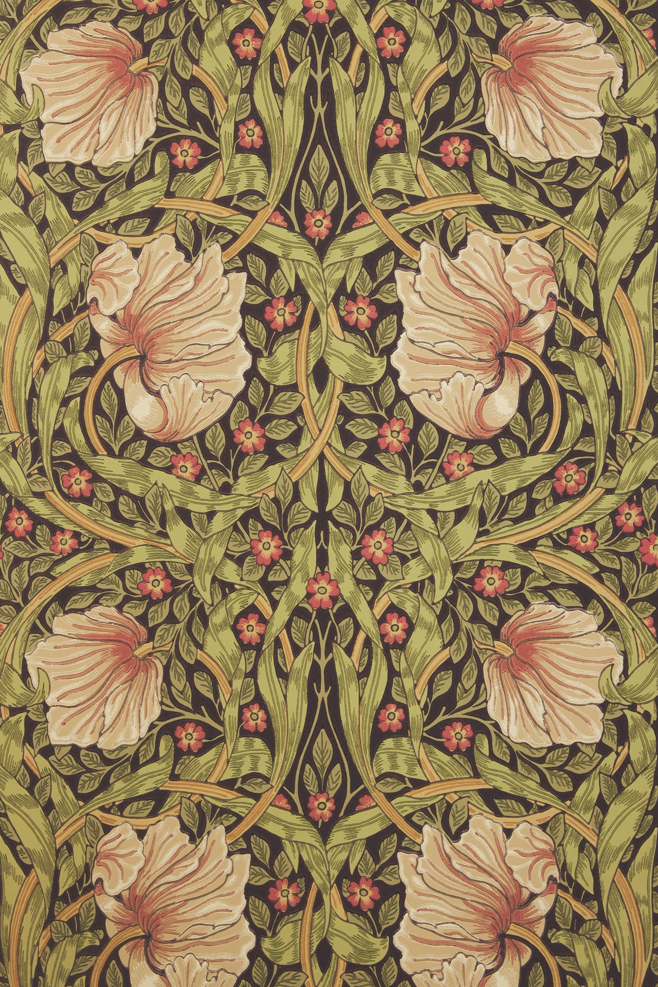 Morris & Co. Pimpernel Wallpaper