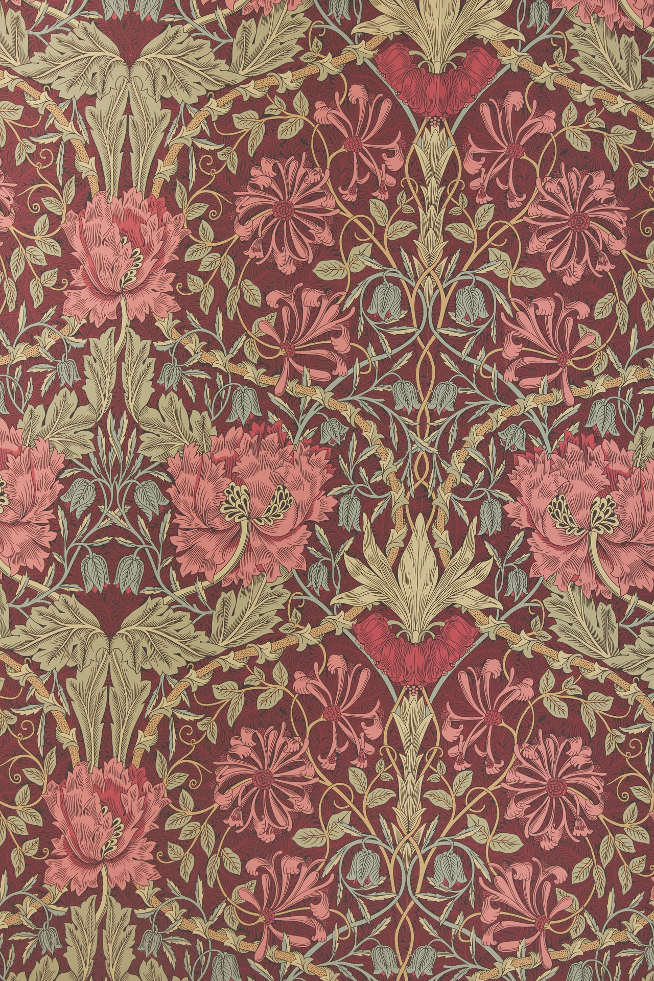 Morris & Co. Honeysuckle Tulip Wallpaper