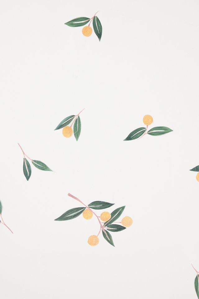 Tangerines Wall Decal Set #1