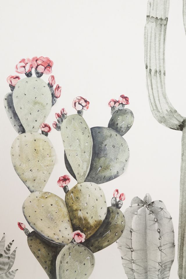 Cactus Garden Wall Decal Set #1