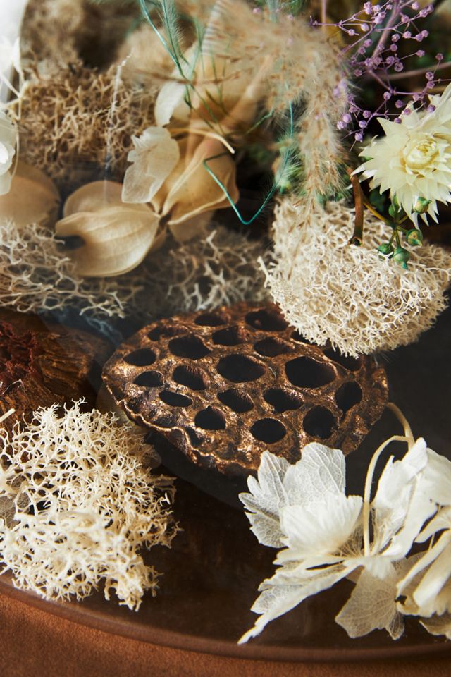 Botanical Sphere Curiosity Terrarium #2