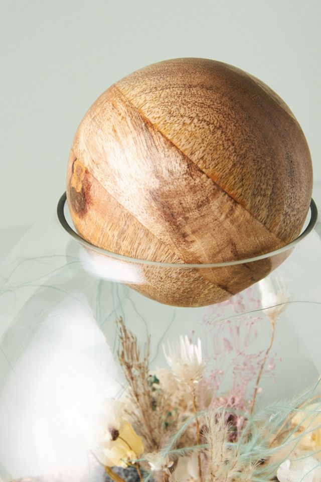 Botanical Sphere Curiosity Terrarium #3
