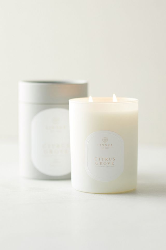 Linnea Candle, Citrus Grove #1