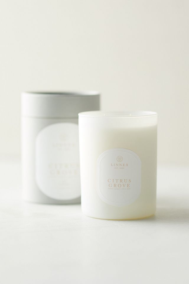 Linnea Candle, Citrus Grove #2