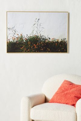 San Juan Bautista Poppies Wall Art