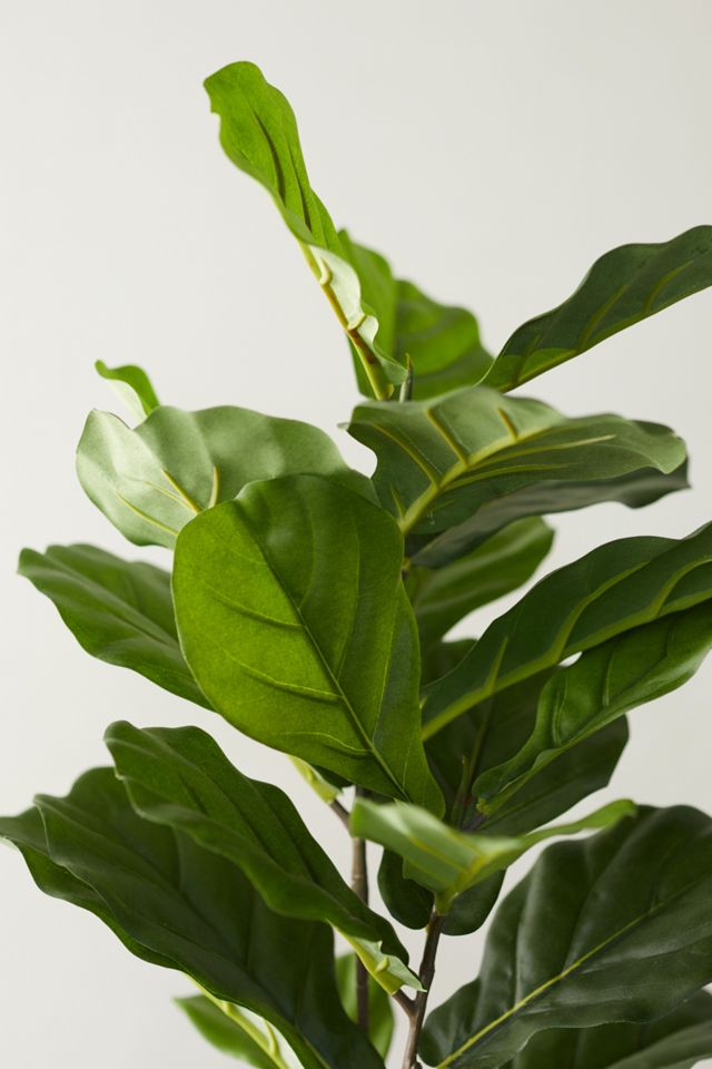 Faux Fiddle Leaf Fig Tree, 2.5' #2