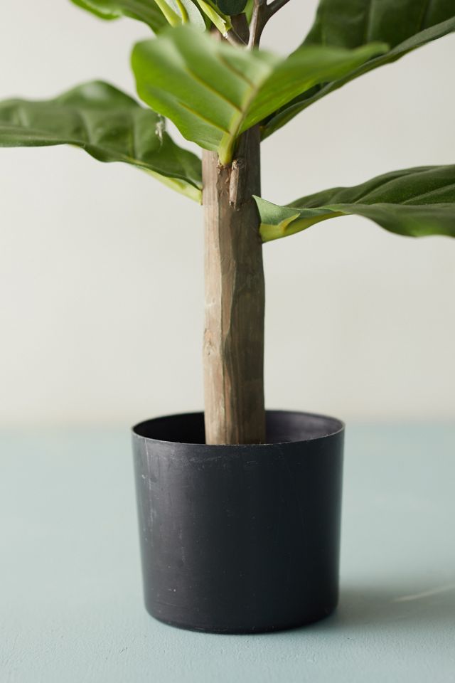 Faux Fiddle Leaf Fig Tree, 2.5' #3