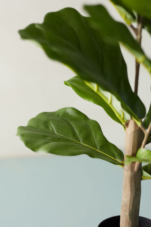 Faux Fiddle Leaf Fig Tree, 2.5' #4