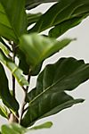 Faux Fiddle Leaf Fig Tree, 2.5 #4