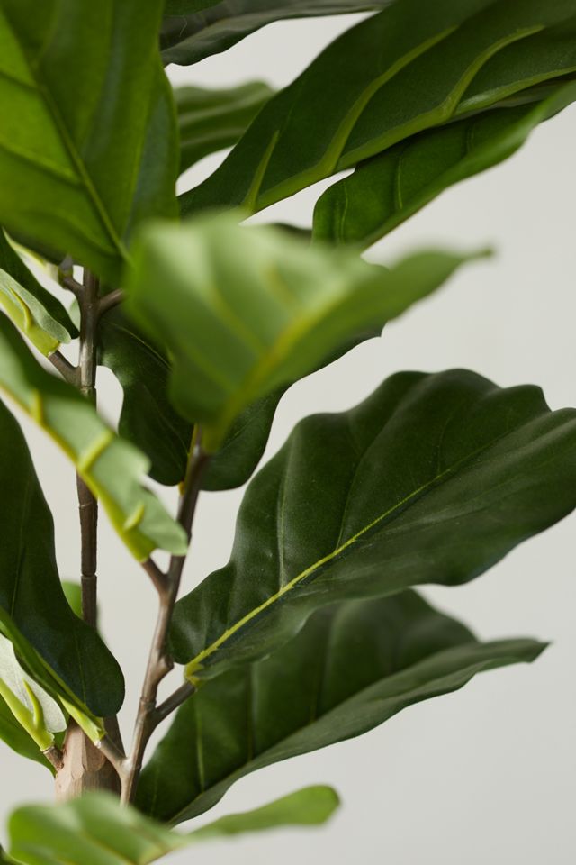Faux Fiddle Leaf Fig Tree, 2.5' #5