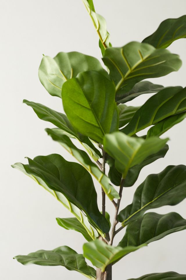Faux Fiddle Leaf Fig Tree, 2.5' #6