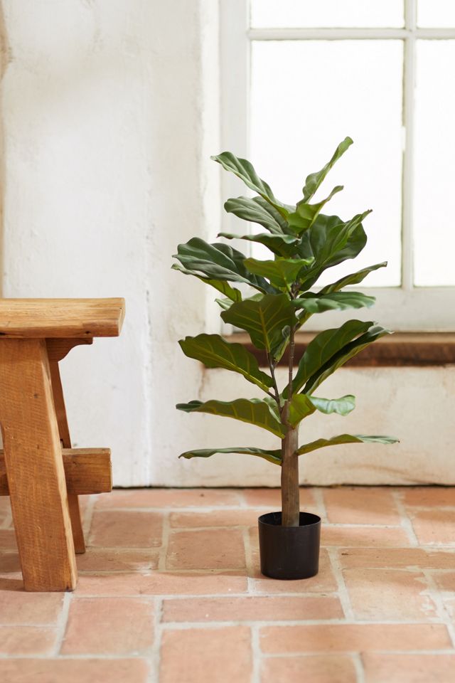 Faux Fiddle Leaf Fig Tree, 2.5'
