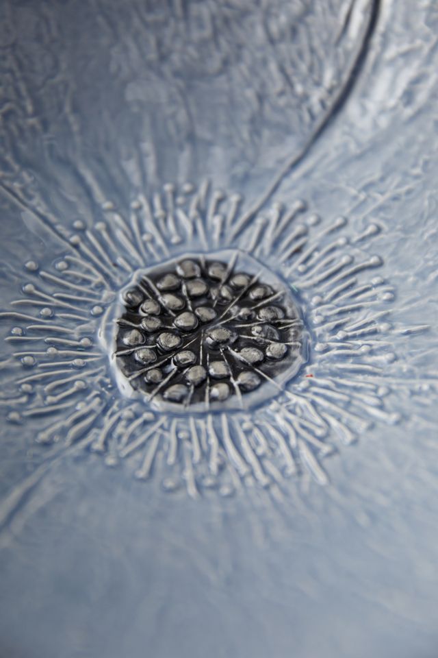 Blue Poppy Plate, 7 #4