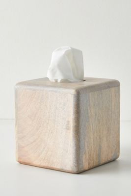 Fiji Tissue Box