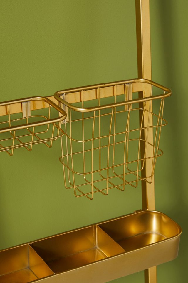 Adrianne Storage Ladder Mirror #2