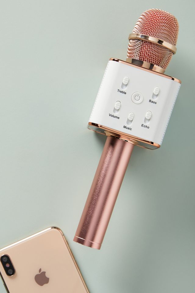 Sing-Along Pro Bluetooth Karaoke Microphone #1