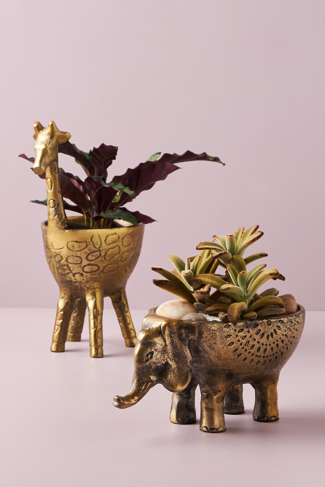 Ezzie Elephant Planter