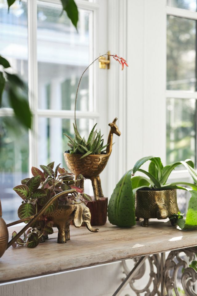 Gia Giraffe Planter #3
