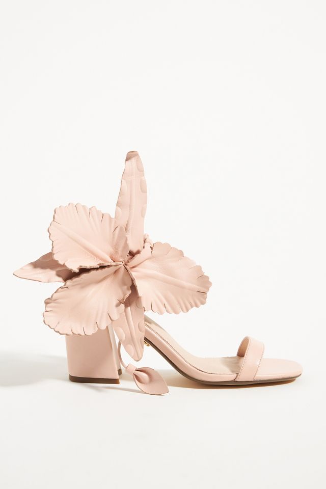 Cecelia new york shops hibiscus heels