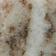Neutral Pattern