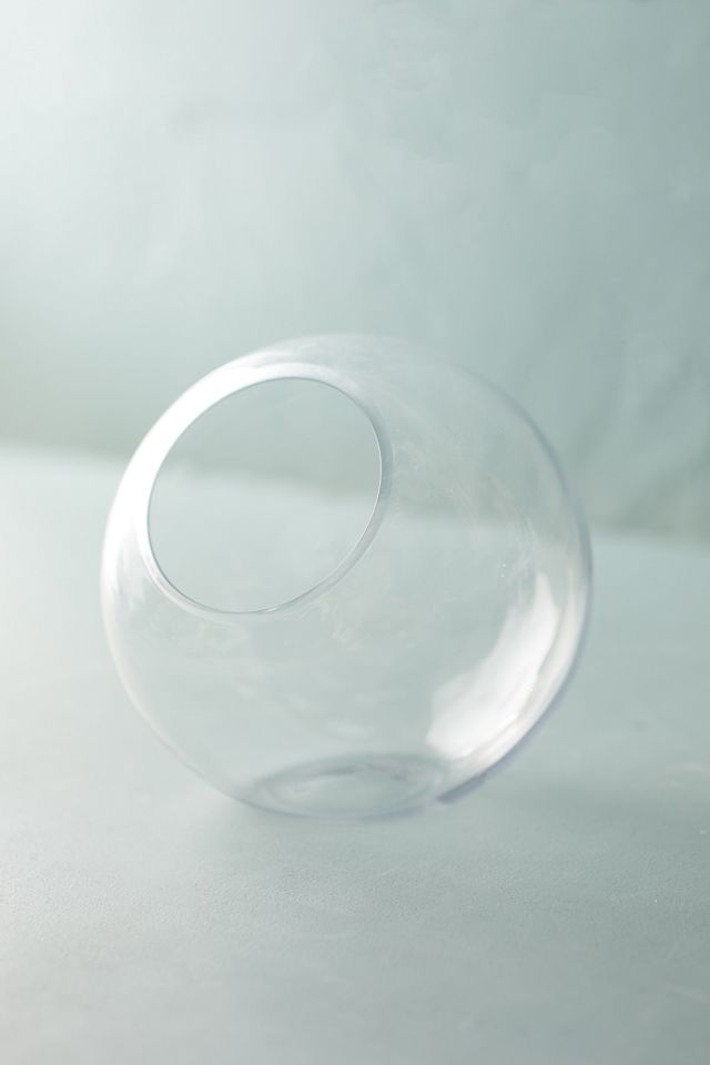 Angled Fishbowl Terrarium #1