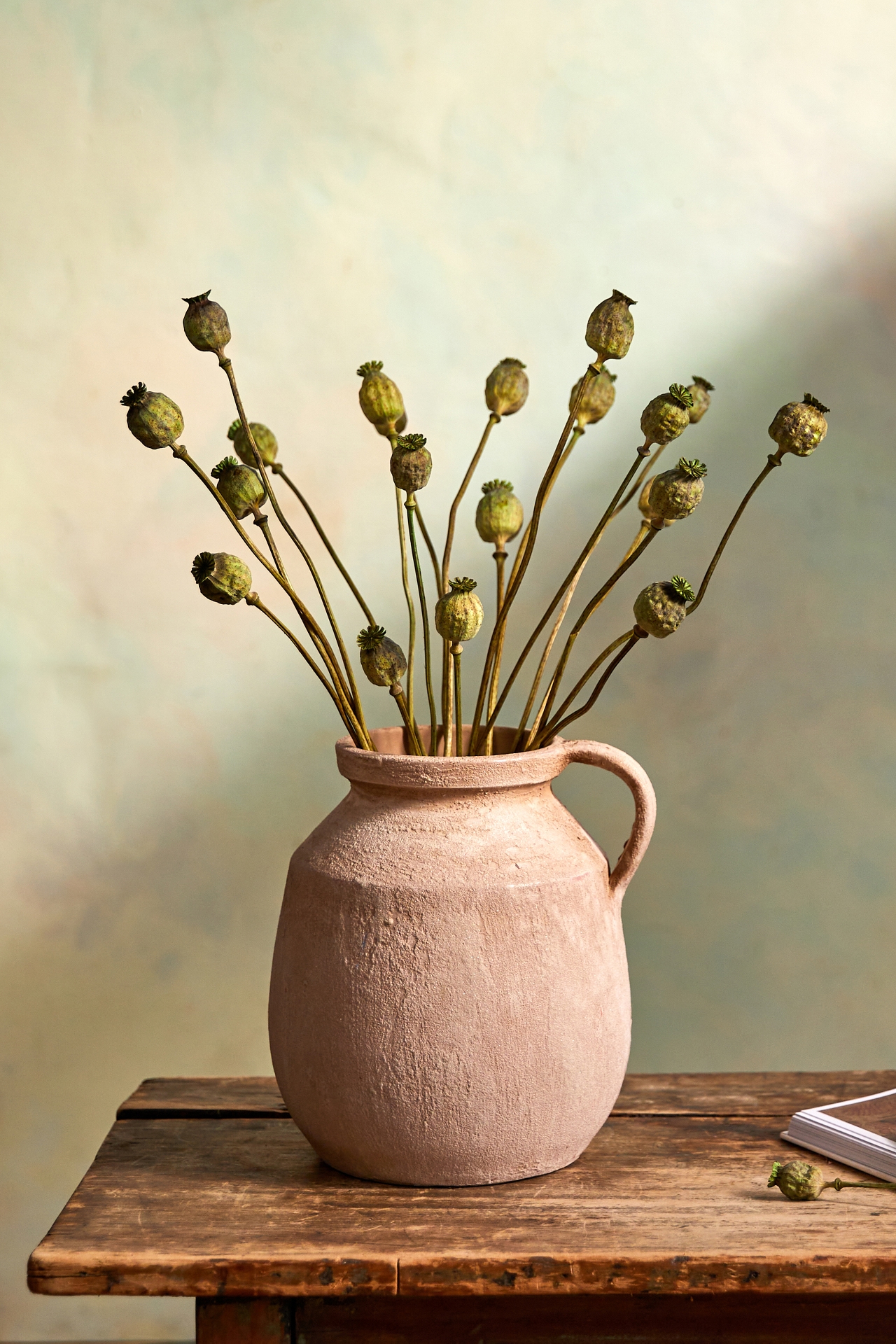 Dried Papaver Bunch