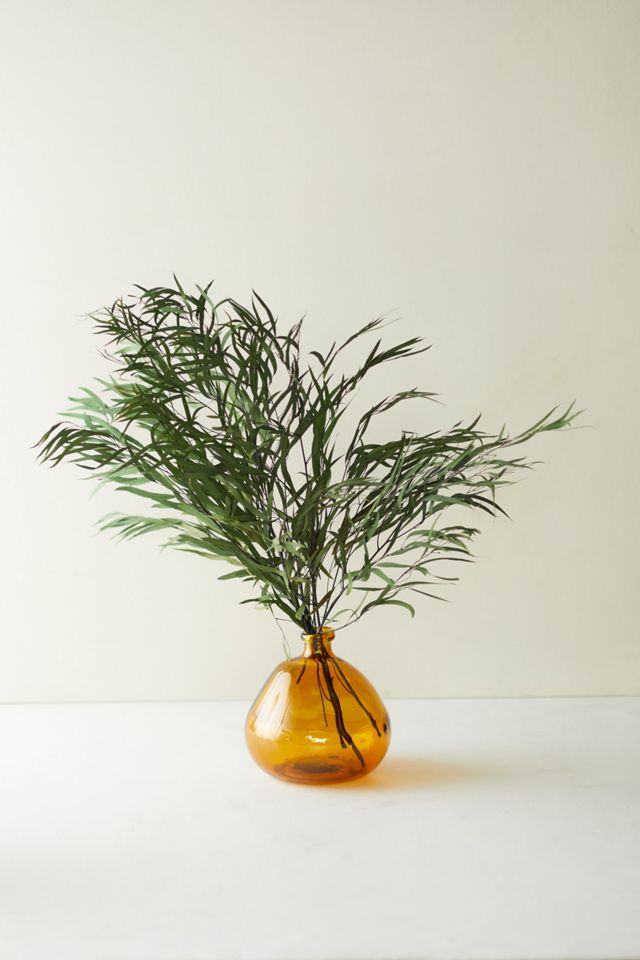 Preserved Eucalyptus Nicoly Bunch, Green #2