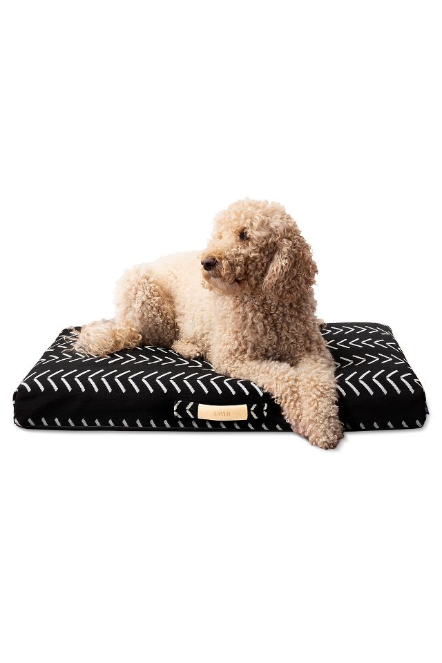 Anthropologie 2025 dog bed