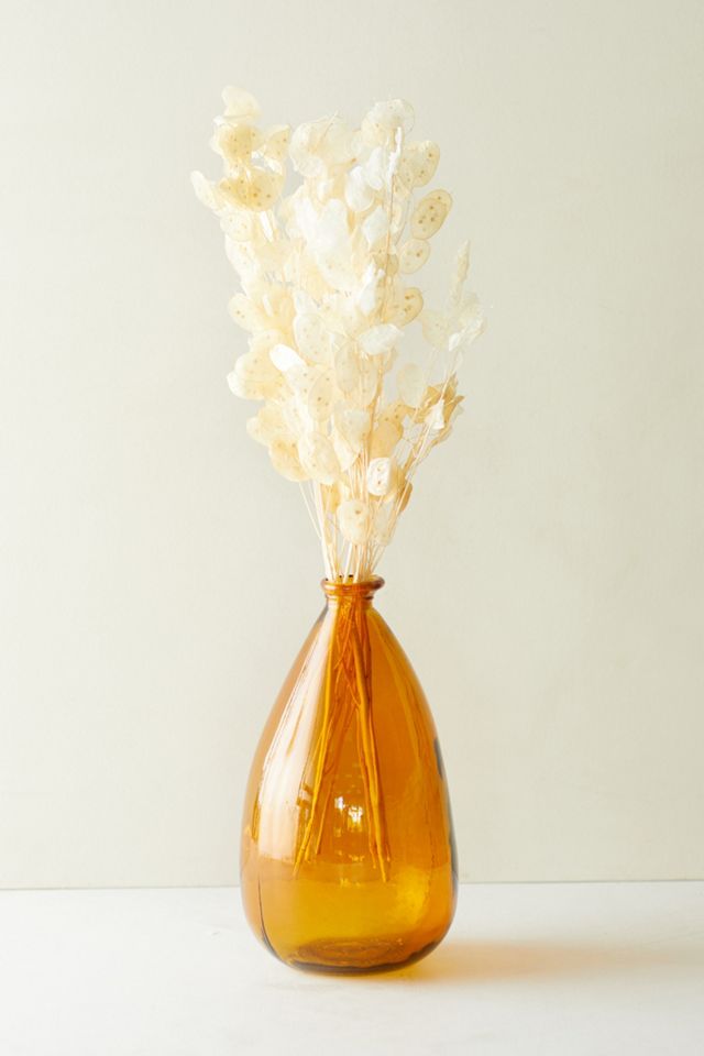Dried Lunaria Bunch #4