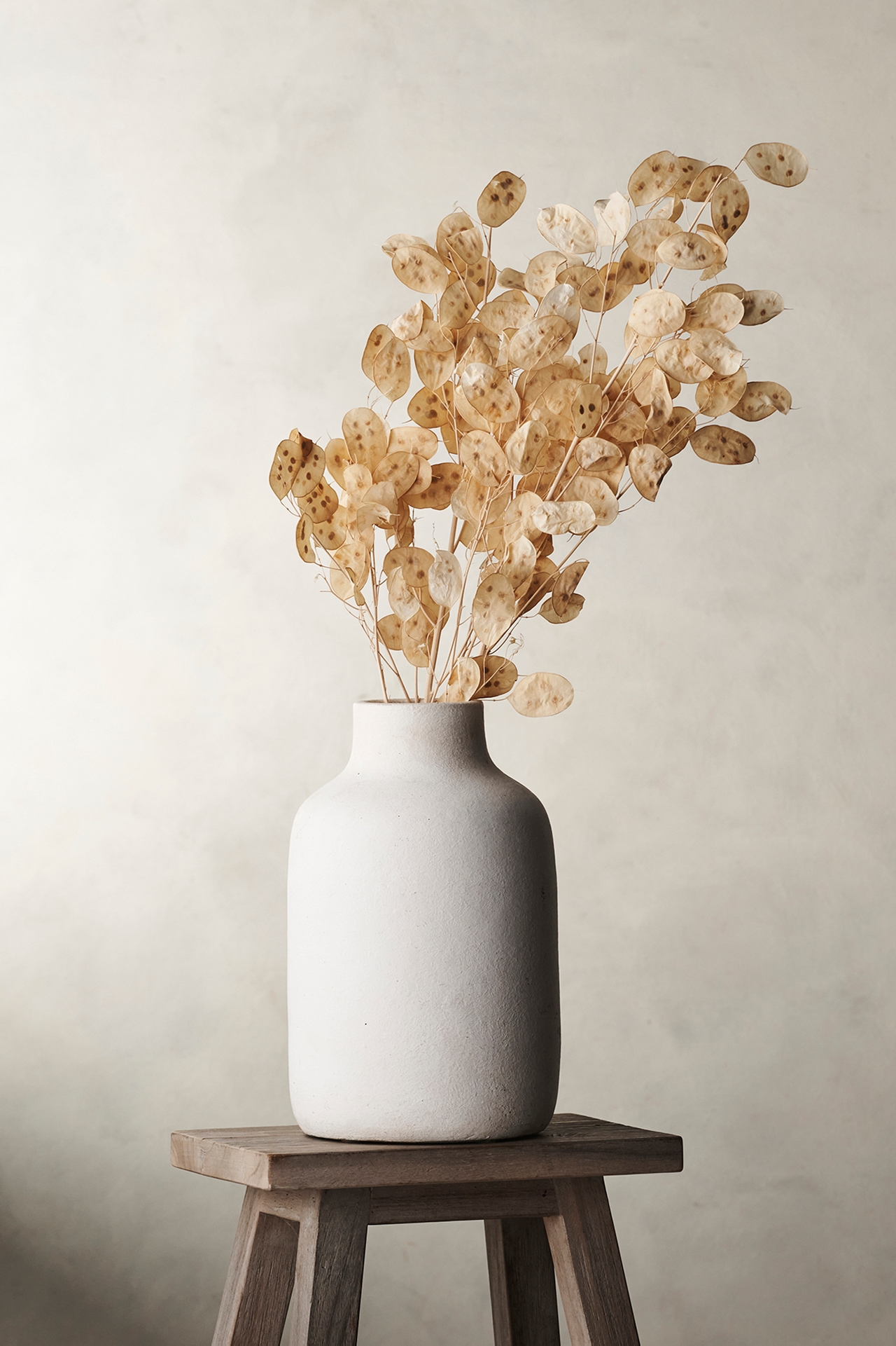 Dried Lunaria Bunch