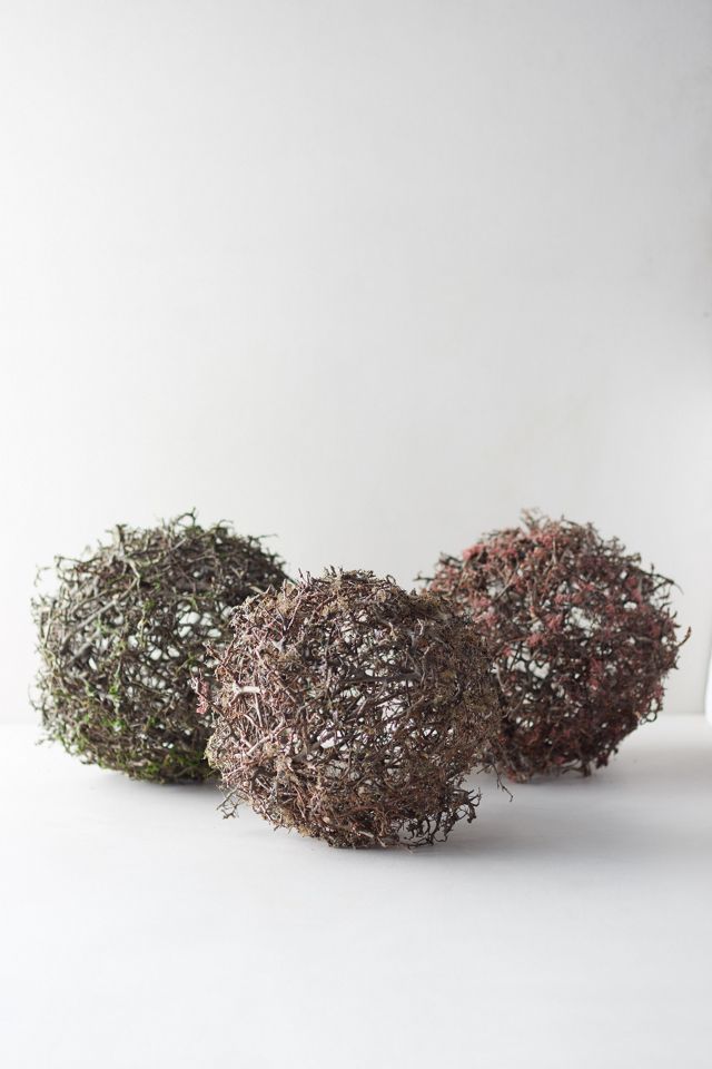 Wild Bonsai Sphere #2