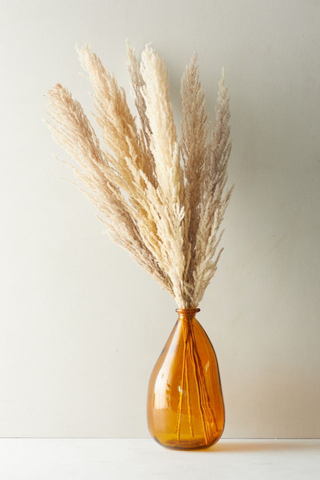 Dried Pampas Grass Bunch #3